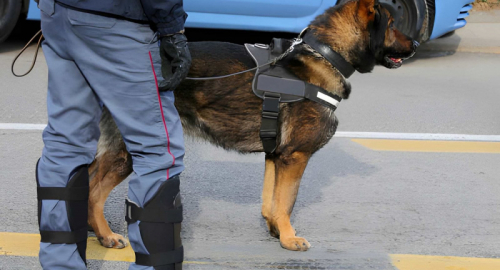 Eboli, indagini sull'omicidio del giornalista Luca Esposito: si cerca l'arma